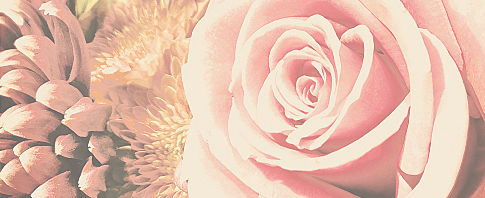 Let Us Not Grow Weary